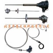 二級鎧裝標(biāo)準(zhǔn)鉑電阻溫度計(jì)型號:SPK-450-2A
